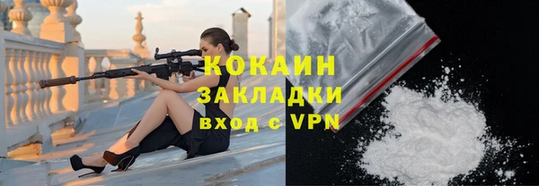 шишки Белокуриха