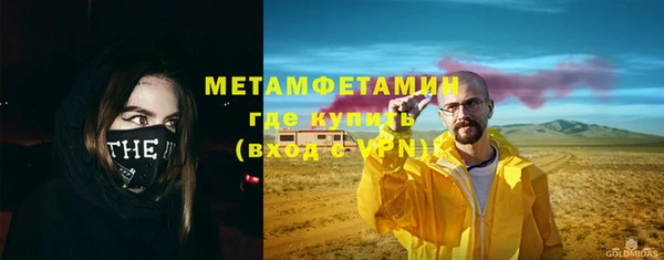 шишки Белокуриха
