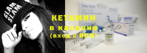 индика Алексин