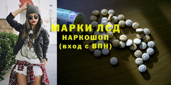 шишки Белокуриха