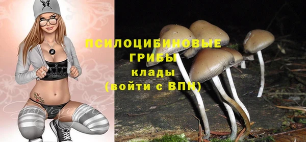 шишки Белокуриха
