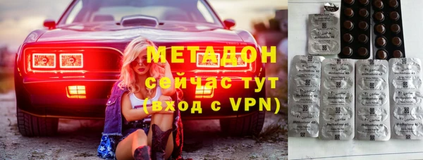 индика Алексин