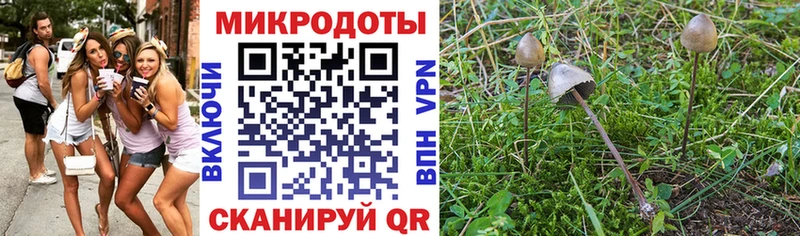 Галлюциногенные грибы MAGIC MUSHROOMS  купить наркотики цена  Нея 